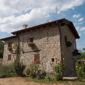 La Piana Dei Castagni , Castel d'Aiano Italy